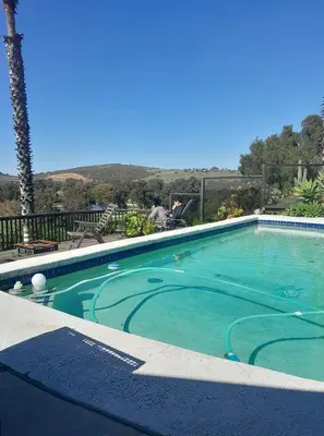 a swimming pool with blue water and a palm tree at Big Beautiful Master Bedroom in Bonita