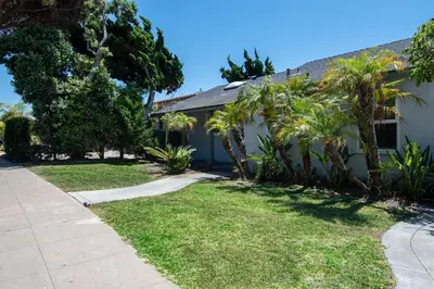 a house with palm trees next to a sidewalk at Ultimate Escape! Huge Yard Parking Walk to Beach in San Diego