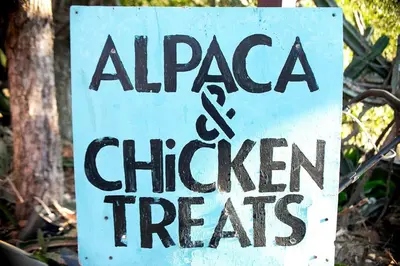 a sign that reads apaca and chicken treats at Pet Friendly Breathtaking Cottage with Great Views and Hot-tub in Rainbow, California in Fallbrook