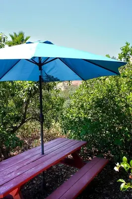 a blue umbrella sitting on top of a wooden bench at Pet Friendly Breathtaking Cottage with Great Views and Hot-tub in Rainbow, California in Fallbrook