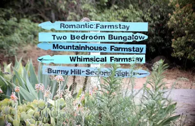 a group of signs in a garden with plants at Pet Friendly Breathtaking Cottage with Hot-tub in Rainbow, California in Fallbrook