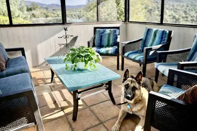 a dog sitting on a porch with a table and chairs at Pet Friendly Fantastic Secluded Cottage with Hot-tub in Rainbow, California in Fallbrook