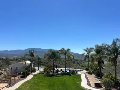 a view of a yard with palm trees at Temecula Wine Country Villa in Temecula