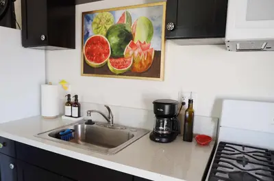 a kitchen counter with a sink and a painting of fruit at Colorful Casita Frida 1BD Retreat by Balboa Park in San Diego