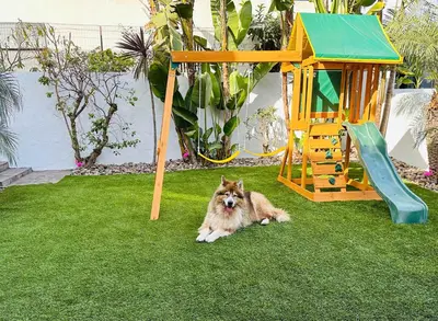 a dog laying on the grass next to a playground at Sunset Balcony Views 1 Mile to Beach 7 Beds in San Diego