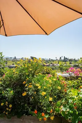 an orange umbrella over a bunch of flowers at Comfortable Home in San Diego Lemon Grove Area in Lemon Grove