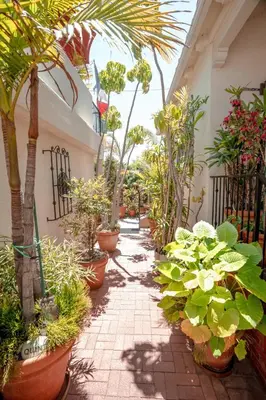 a walkway with potted plants and palm trees at Charming Casita with City and Bay Views in San Diego