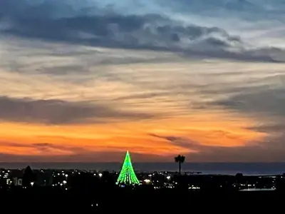 a green christmas tree in front of a sunset at Room in Bay Park, San Diego in San Diego