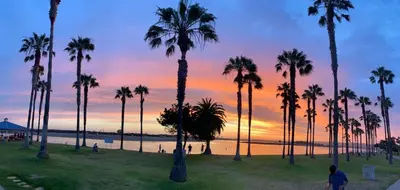 a group of palm trees in a park with a sunset at Room in Bay Park, San Diego in San Diego