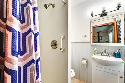 a bathroom with a shower curtain and a sink at Near Hiking and Mtn Biking Cozy Cabin in Mt Laguna! in Mount Laguna