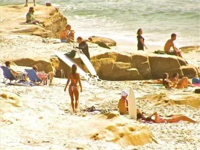a group of people on a beach with surfboards at Sunny Gardens A Classic La Jolla Beach Home Close to Wind n Sea Beach in San Diego