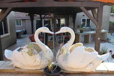 two white swans are standing next to each other at Rooms in Bay Park, San Diego in San Diego
