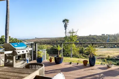 a patio with potted plants and a grill on a deck at Large Home With Sauna in Vista