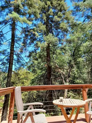 two chairs and a table on a deck with trees at Historic Holiday Redwood Cabin in Palomar Mountain, California in Palomar Mountain