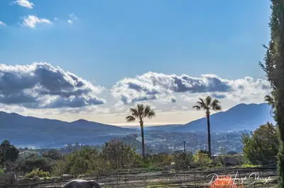 a view of the mountains and palm trees at Rustic Ridge Vineyards Cottage in Jamul