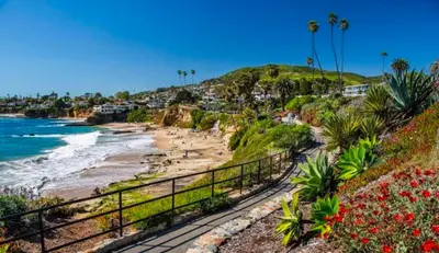 a view of a beach with palm trees and the ocean at Modern Laguna Beach Duplex - Prime Location! in Laguna Beach