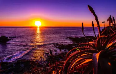 a sunset over the ocean with a plant in the foreground at Modern Laguna Beach Duplex - Prime Location! in Laguna Beach
