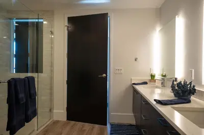 a bathroom with a shower and a black door at The zinnia-Downtown SDiego Marina View Stay in San Diego
