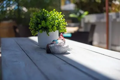 a small figurine sitting on a table next to a plant at #759 PetFriendly Beachside retreat/laundry&Parking in San Diego