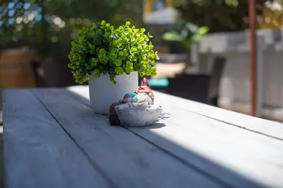 a small figurine sitting on a table next to a plant at #763 Steps from the Sand -2b2b Laundry Parking AC in San Diego
