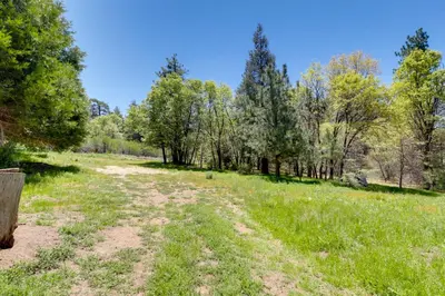 a dirt road in a field with trees at Hike, Bike and Explore Woodsy Retreat in Mt Laguna! in Mount Laguna