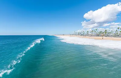 a view of a beach with palm trees and the ocean at 3Br Oceanfront In Desirable Location At Excellent Value By Beachview Rentals in Newport Beach