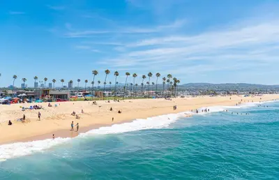 a beach with palm trees and a crowd of people at Iconic 4Br Bayfront Home W Unmatched Indooroutdoor Living By Beachview Rentals in Newport Beach