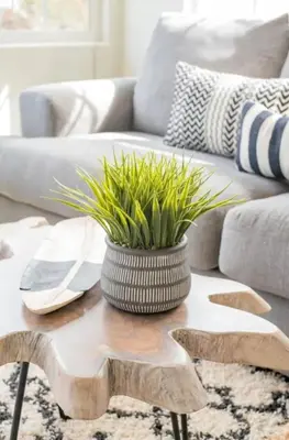 a coffee table with a vase with grass on it at Pacific Beach Cottage 2 Walk to the Beach and Bay in San Diego