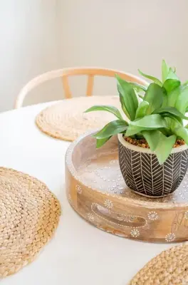 a plant in a pot sitting on a table at Pacific Beach Cottage 4 Walk to the Beach and Bay in San Diego