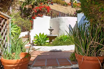 a garden with potted plants and a walkway at Old Town 1BR Short Drive to Downtown and Beaches 2.5 in San Diego