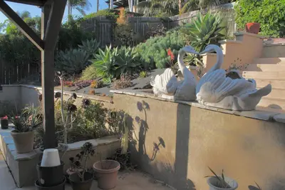two statues of swans sitting on a wall at Room in Bay Park, San Diego in San Diego
