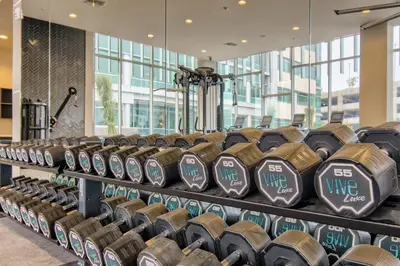 a row of chairs in a gym at Vive Luxe in San Diego