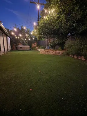 a yard at night with street lights in a yard at Sunny Retreat Beaches Lakes Trails in La Mesa
