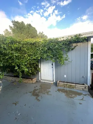 a garage with a white door with a green hedge at Oasis Resort in Homeland