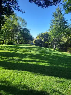 a large field of grass with trees in the background at La Casita Private Resort Spa and Mini Golf Course in Alpine