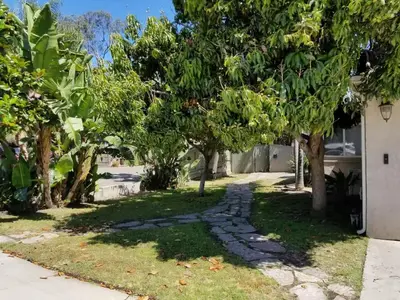 a garden with trees and a stone path at Sutra in San Diego