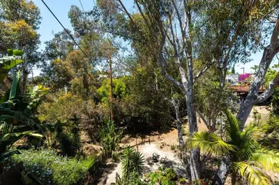 a garden with trees and plants and a bridge at Canyon Treehouse in San Diego