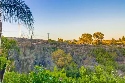 a view of a hill with trees and bushes at 3BRB with Bonus Bedroom, Hot Tub, Tropical Oasis in San Diego