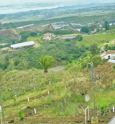 a hill with a cemetery on it with a train on it at Vintoca Luxury Honeymoon Suite Farm Retreat in Oceanside