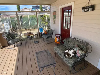 a porch with two chairs and a dog laying on it at La Bella Vista Estate in Fallbrook