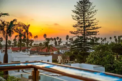 a view of a resort with a palm tree at La Jolla Gem Ocean Views Walk to Village Beach in San Diego