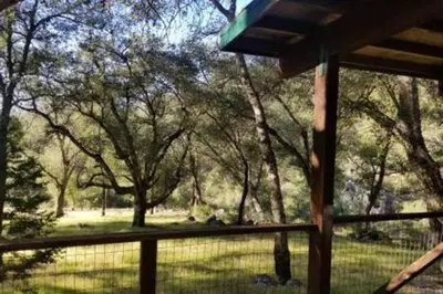 a view of a park from a porch with trees at Cozy Bell Tent in Palomar Mountains in Pauma Valley