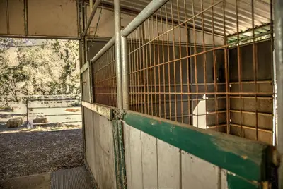 an inside view of a building with a cage at Group Bunkhouse Sleeps 12 Mountain Views in Palomar Mountain