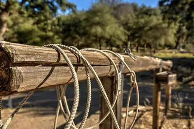 a wooden bench with a rope tied to it at Group Bunkhouse Sleeps 12 Mountain Views in Palomar Mountain