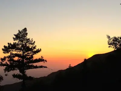 a silhouette of a tree on a mountain at sunset at Group Bunkhouse Sleeps 12 Mountain Views in Palomar Mountain