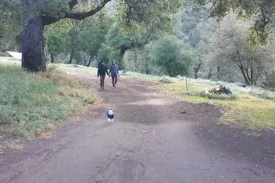 two people and a dog walking down a dirt road at Harrison Serenity Ranch - Groups over 50 in Palomar Mountain