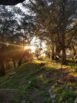 a group of trees in a field with the sun setting at Cozy Rustic Mountain Home with Breathtaking views in Palomar Mountain