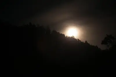 a full moon rising behind trees at night at Cozy Rustic Mountain Home with Breathtaking views in Palomar Mountain