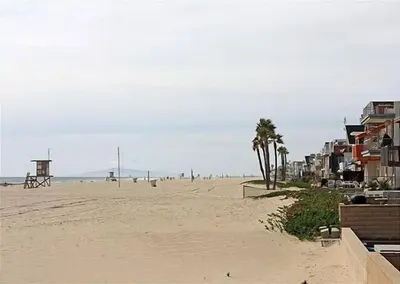 a beach with palm trees and people on it at Get Your Vitamin Sea! Steps to Sand, Bikes, & Balcony in Newport Beach