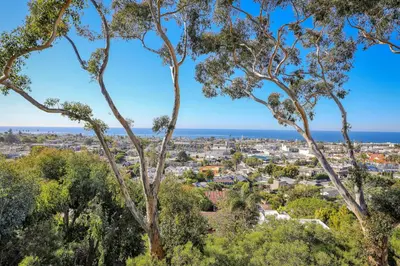 a view of the city through the trees at Seaview craftsman with Amazing views in San Diego